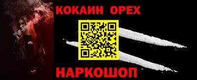крисы Кингисепп