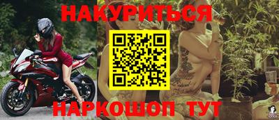 крисы Кингисепп