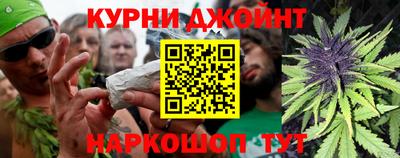 крисы Кингисепп