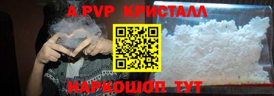 крисы Кингисепп