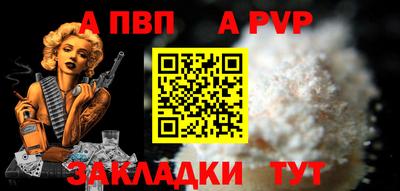 крисы Кингисепп