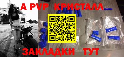 крисы Кингисепп