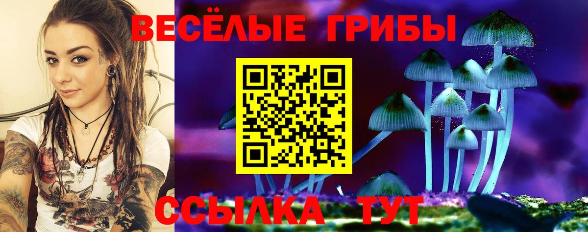 Галлюциногенные грибы мухоморы Краснокаменск
