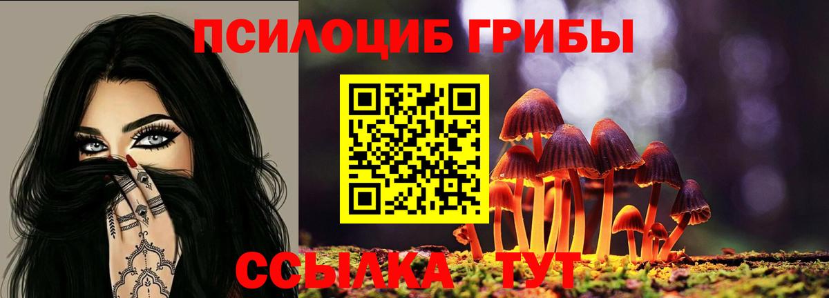 Галлюциногенные грибы Psilocybe  Вход с VPN  Краснокаменск 